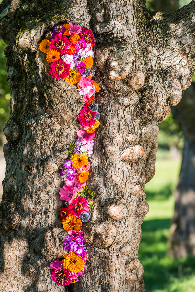 Blütenkette auf Baumstamm